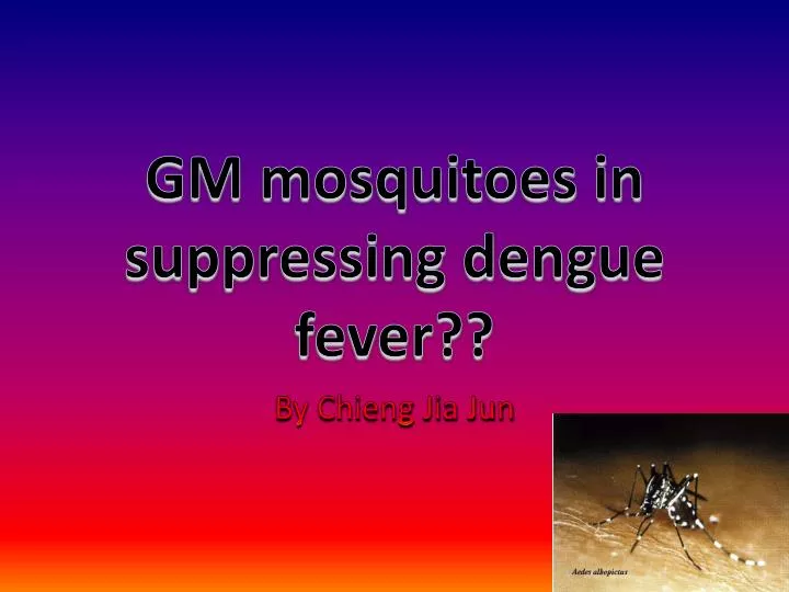 Dengue Fever Ppt