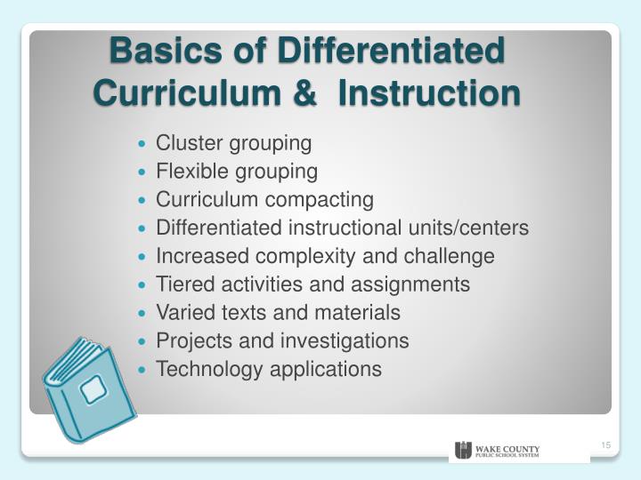 Differentiated instruction essay