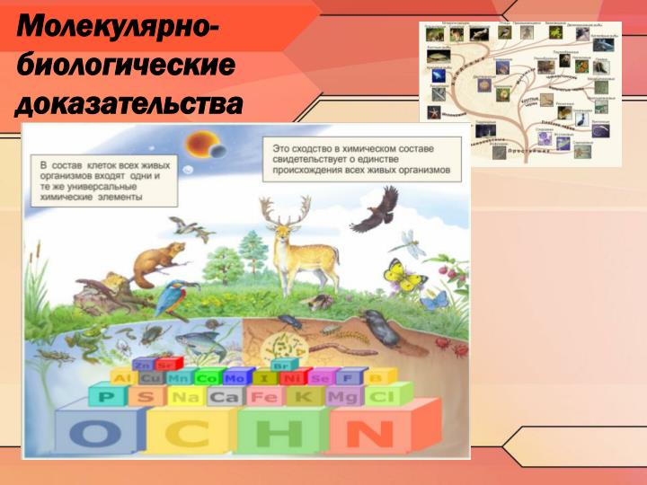 download вода и фильтры