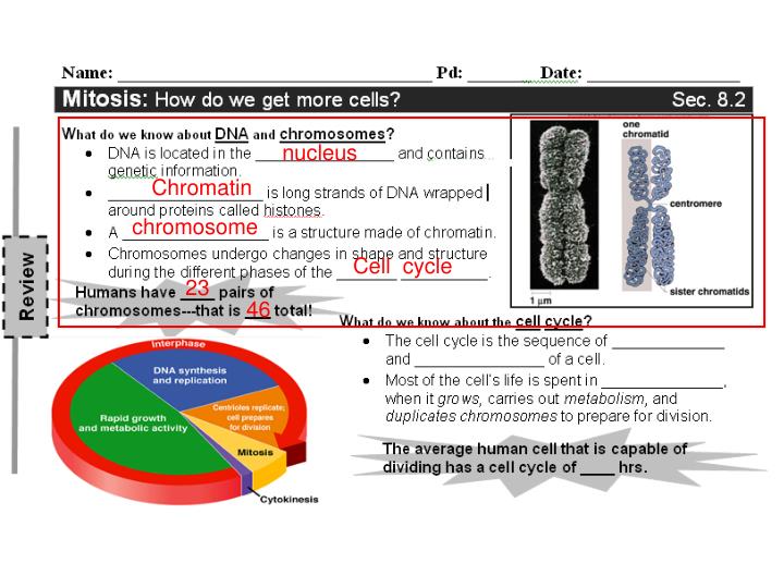 PPT Objectives I CAN… PowerPoint Presentation ID6019213