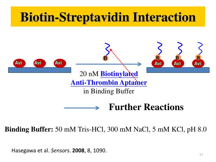 PPT - Biomaterial Chemistry: Methods Of Modification And Immobilization ...