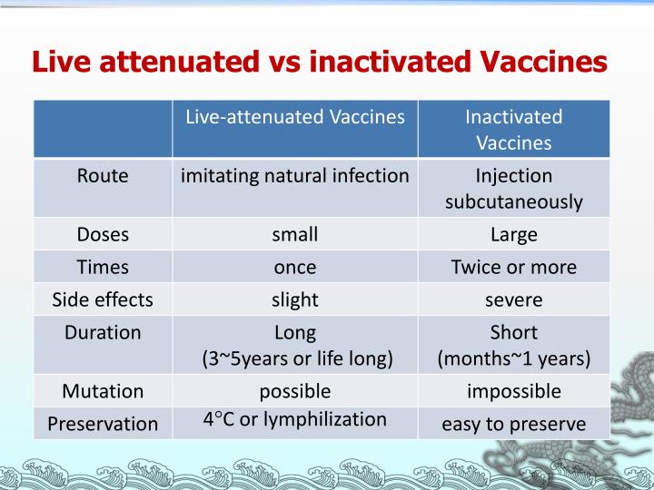 Typhoid Vaccine, Live forecast Typhoid Vaccine, Live advise