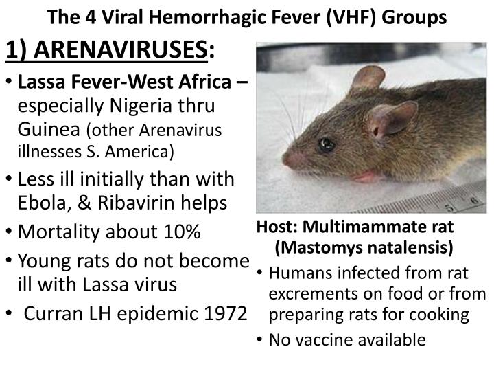 Links and references | yellow fever | cdc