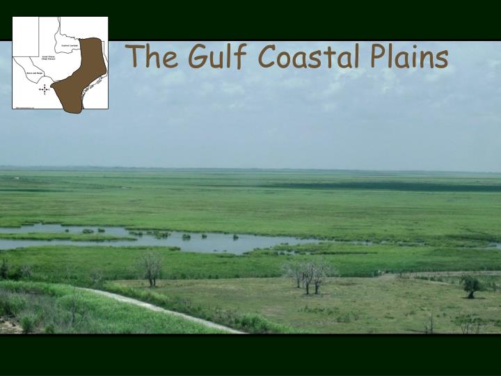 PPT - The 4 Regions of Texas Geography PowerPoint Presentation - ID:6047954
