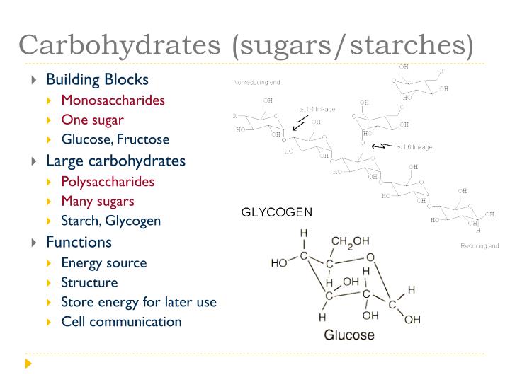 PPT Unit Two Diabetes PowerPoint Presentation ID6055673