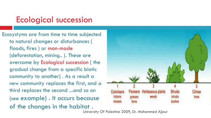 ecological succession a result of changes in the ecosystems Ecosystem succession:ecosystem succession: • results from the modification of physical environment byresults ecosystems and causes changes in resource. ecological succession a result of changes in the ecosystems Ecosystem succession:ecosystem succession: • results from the modification of physical environment byresults ecosystems and causes changes in resource.