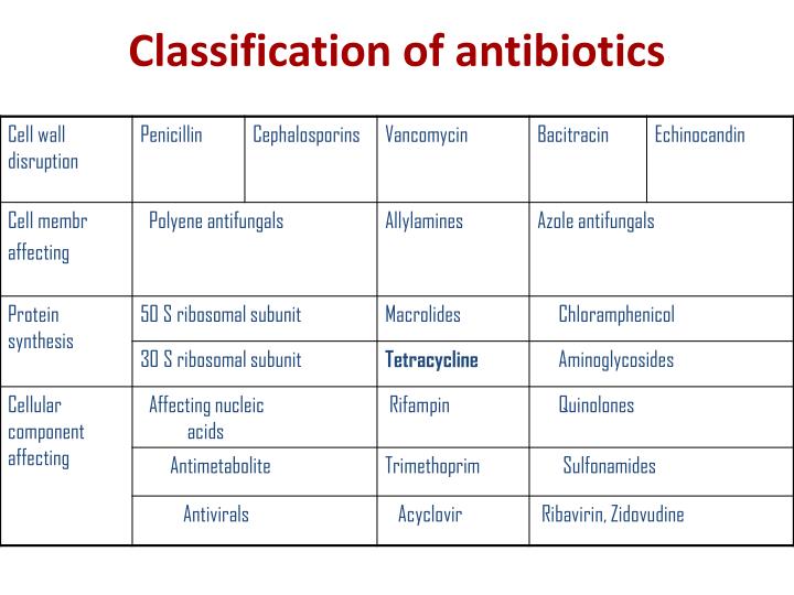 erythromycin antibiotic class