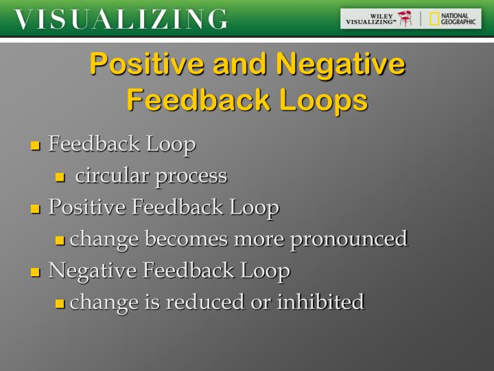 positive negative feedback loops positive negative feedback loops