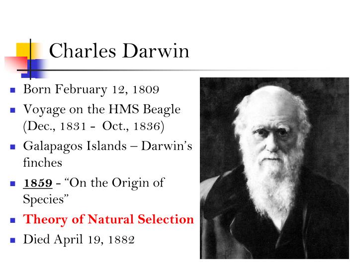 what was the theory of charles darwin
