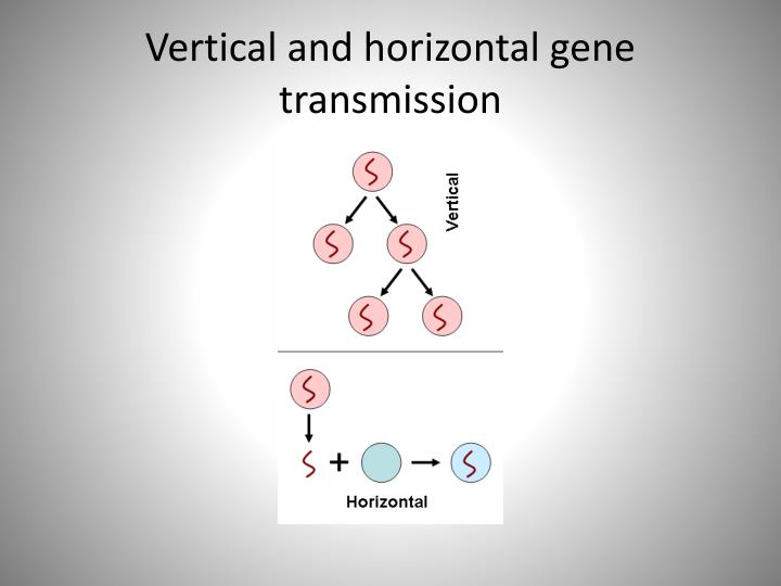 horizontal gene transmission horizontal gene transmission