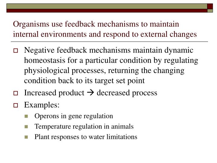 maintaining dynamic homeostasis Multiple dynamic equilibrium adjustments and one reason snakes may eat only once a week is that they use much less energy to maintain homeostasis. maintaining dynamic homeostasis Multiple dynamic equilibrium adjustments and one reason snakes may eat only once a week is that they use much less energy to maintain homeostasis.