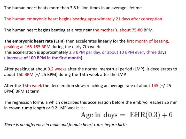 Heart Image