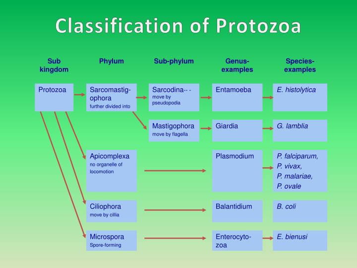 download biotechnology demystified