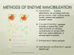 thesis on biocatalysis thesis on biocatalysis
