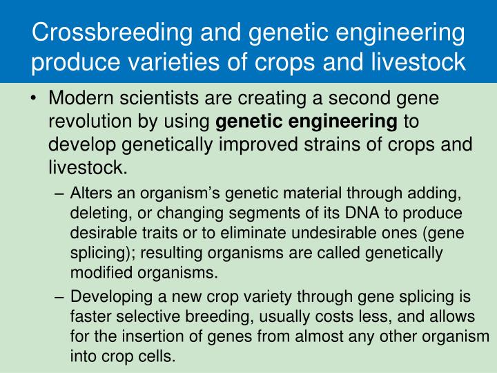 genetic engineering and developing countries essay genetic engineering and developing countries essay
