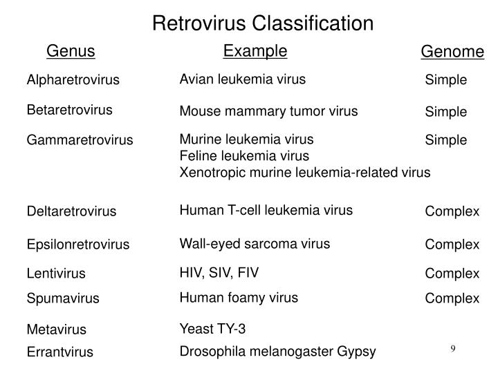 virus types retrovirus