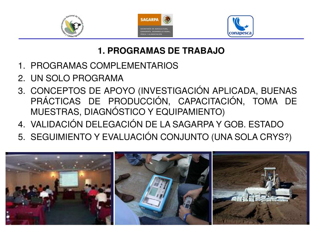 Ppt Programa Nacional De Sanidad Acu Cola Powerpoint Presentation