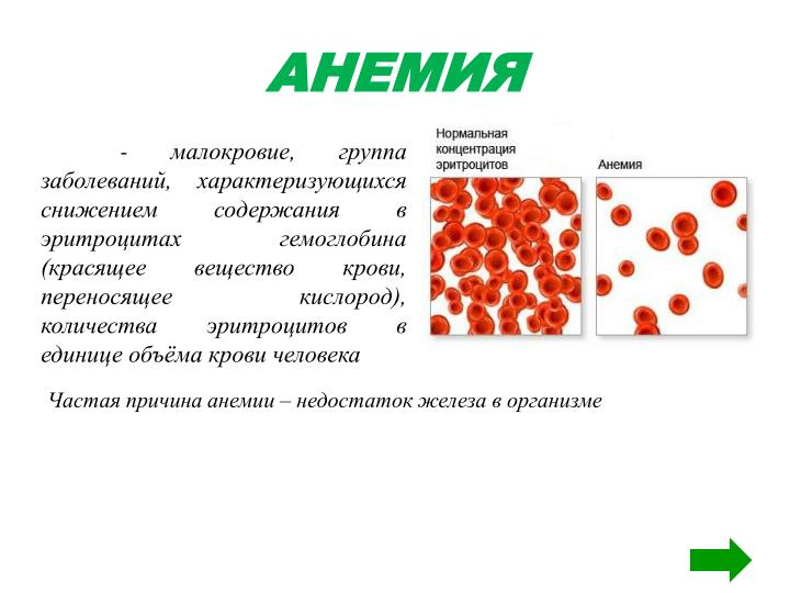 Повышенные эритроциты в крови у беременных причины 35