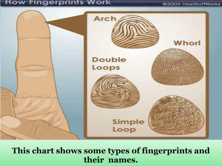 fingerprint types fingerprint types