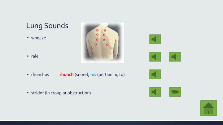 croup lung sounds croup lung sounds