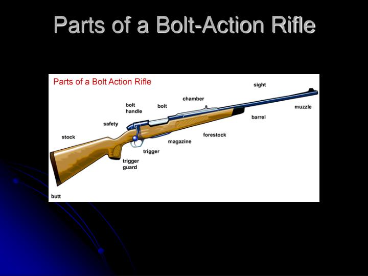 parts of a riffle parts of a riffle