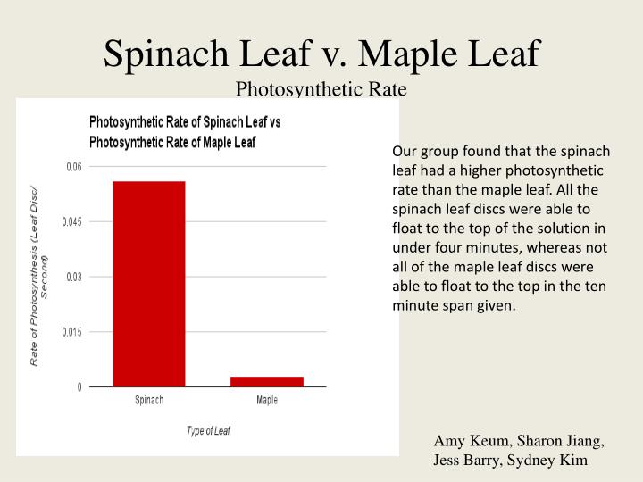spinach disk graph title spinach disk graph title