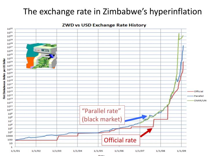 Forex zim
