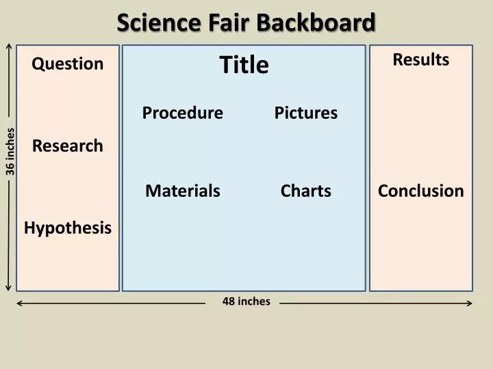 science fair essay