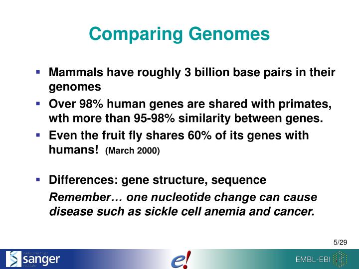 PPT - Comparative Genomics PowerPoint Presentation - ID:6298905