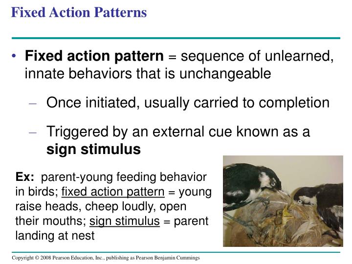 PPT Chapter 51 Animal Behavior PowerPoint Presentation ID6298958