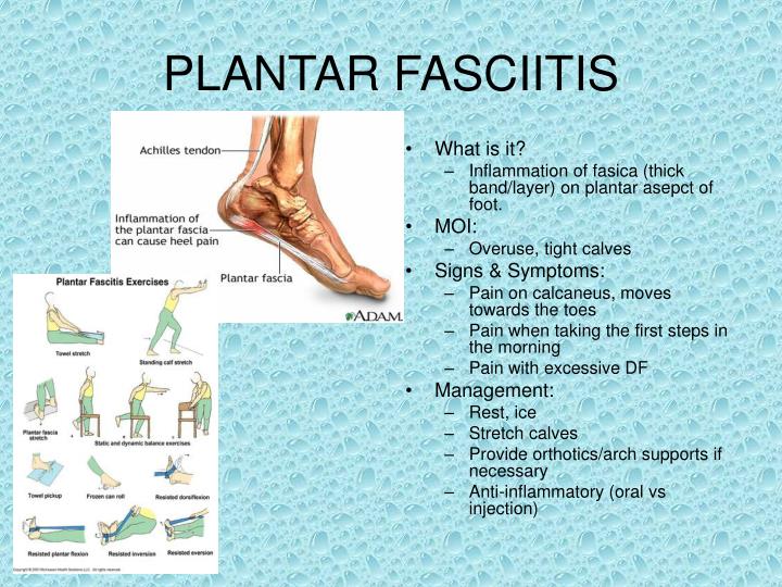 PPT FOOT, ANKLE AND LOWER LEG PowerPoint Presentation