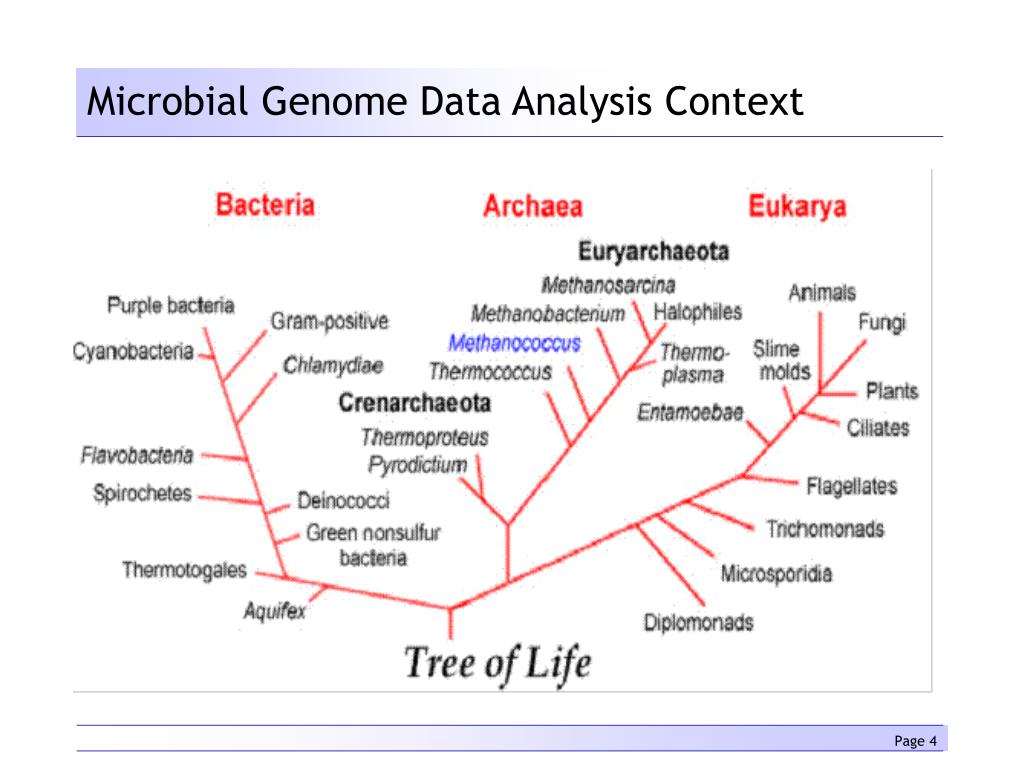 Ppt Integrated Microbial Genomes Img System Powerpoint Presentation