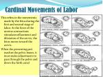 the cardinal movements of labor