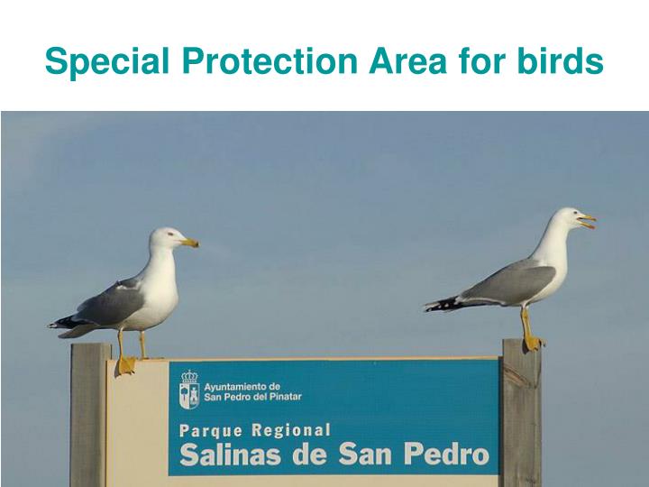 ppt regional park of the salt flats of san pedro del ppt regional park of the salt flats of san pedro del