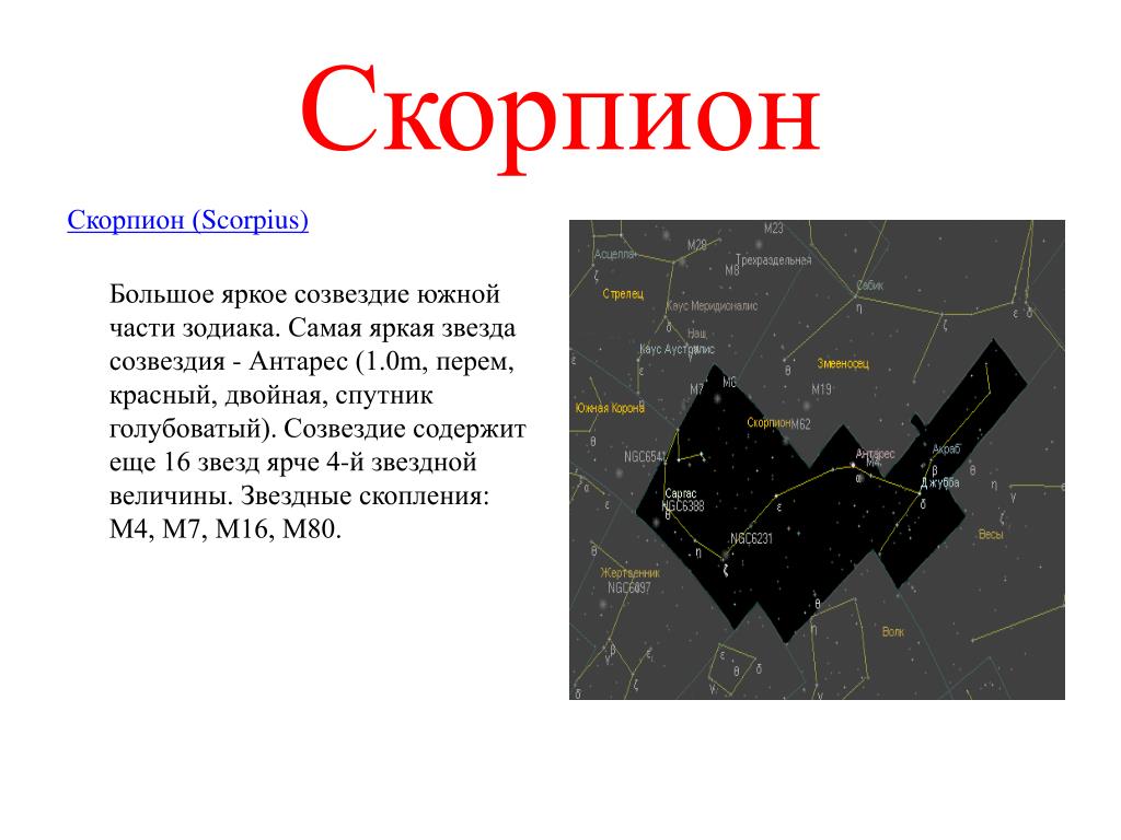 Гороскоп Скорпиона На 16 Апреля 2023