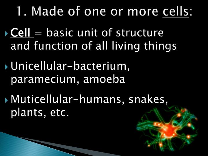 PPT - Biology & The Characteristics of Life PowerPoint Presentation - ID:6514987