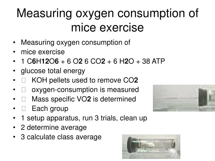 study of oxygen consumption to measure A device to measure oxygen consumption measure the oxygen consumption by the liver during hypothermic perfusion in there were three parts in the study. study of oxygen consumption to measure A device to measure oxygen consumption measure the oxygen consumption by the liver during hypothermic perfusion in there were three parts in the study.