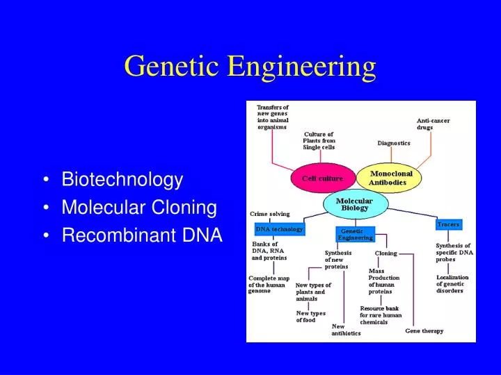 synthesis essay on cloning synthesis essay on cloning