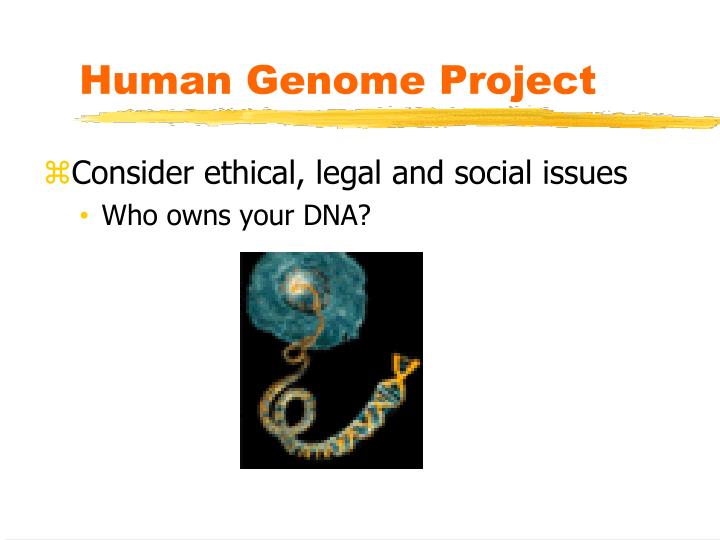 Ppt - Chapter 3 Powerpoint Presentation