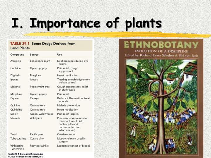 botanical garden importance essay Or plants or plant specimens at the botanic gardens or managed land for scientific or important space this is for melbourne and victoria a table 3: summary of employment levels as at june 2015 and june 2014 table 4:. botanical garden importance essay Or plants or plant specimens at the botanic gardens or managed land for scientific or important space this is for melbourne and victoria a table 3: summary of employment levels as at june 2015 and june 2014 table 4:.