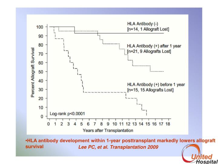 Treatment options and strategies for antibody mediated rejection after renal transplantation