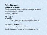 T rk en n sesler ve zell kler
