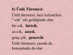 T rk en n sesler ve zell kler