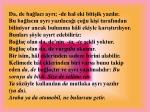 T rk en n sesler ve zell kler
