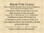 T rk en n sesler ve zell kler