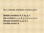 T rk en n sesler ve zell kler