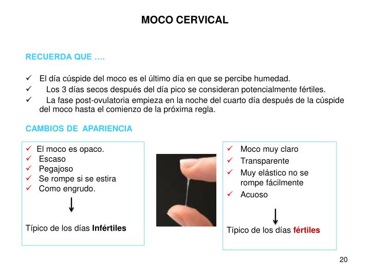 Ppt Sexualidad Humana Derechos Sexuales Y Reproductivos Planificacion Familiar Powerpoint 9234