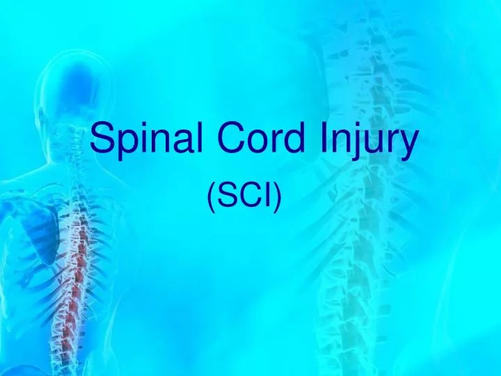 Ppt Spinal Cord Injury Powerpoint Presentation Id6638740