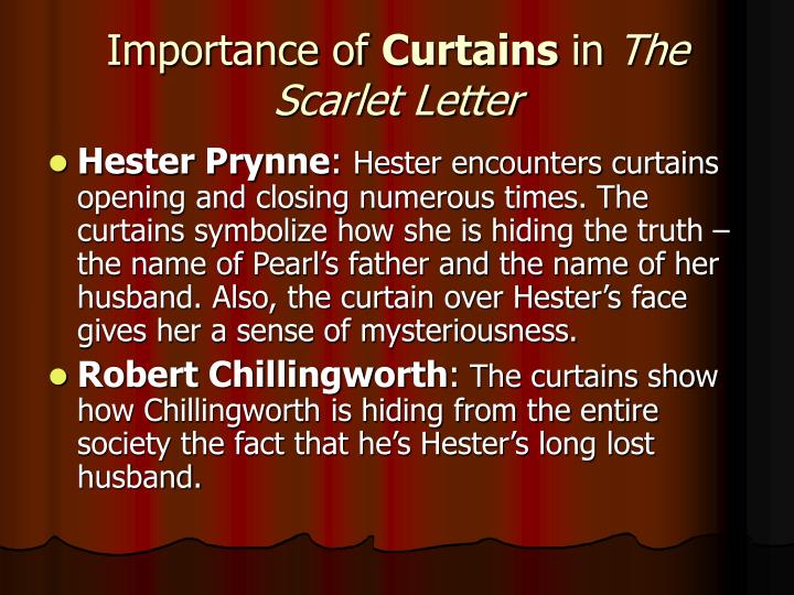 pearl the scarlet letter essay pearl the scarlet letter essay