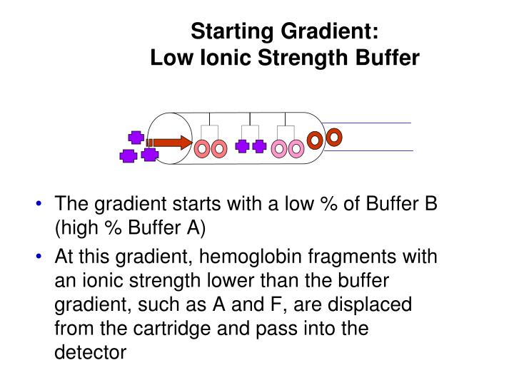 PPT Hemoglobin Electrophoresis PowerPoint Presentation ID6656725